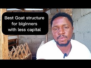 Best Goat structure for beginners with less capital