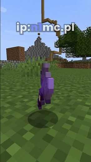 THIS TRIDENT lets you SWIM IN LAVA in MINECRAFT...