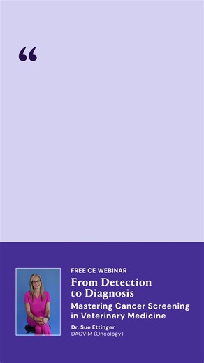 Antech Diagnostics on Instagram: "Reoccurring UTIs aren't always what they seem—and can actually be a warning sign of cancer in your dog. In her Early Cancer Detection webinar, Dr. Sue shares some of the ways to screen early and often. Link in bio 🔗"