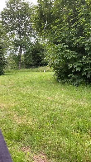 Anna Jørgensen on TikTok