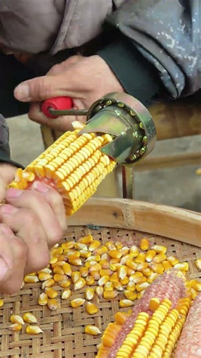 农民的智慧自制玉米脱粒机
