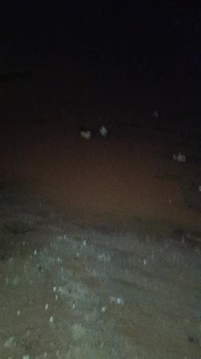 HeySweds - Stephani... Anyone who misses Nissebus or thinks about going to the next birthday party? In the USA, we're even seeing many of the best birthdays in the next year, but we still hold onto Swedish tradition and have a moment to stand by it. ... When will you see the next birthday? Nissebus #Jul #20knut #nyår #swedeintheusa #swedeinamerica #fypsverige #tiktoksverige #mammaliv #mammalivet #mammorpåtiktok #föräldrarpåtiktok #utlandssvenskar #utlandssvensk #utlandsstudier Alone - Somewhere 