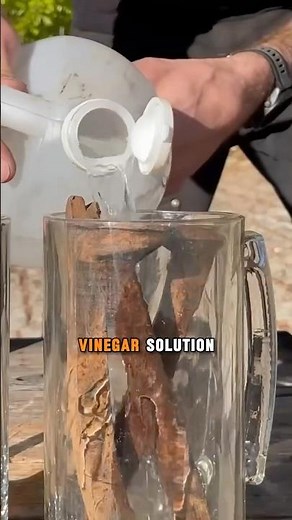 The Easiest Way to Clean Rust Off Your Tools