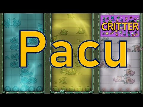 Oxygen Not Included - Critter Tutorial Bites - Pacu