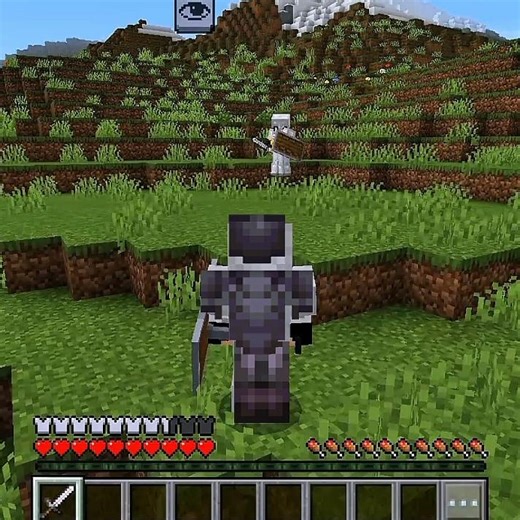 😎😎 MINECRAFT PRO EDITOR EVER YOU SEEN😎😎 #minecraft #funny #shortvideo