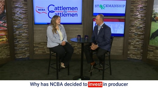 7.6K views · 41 reactions | Safe and effective cattle handling can...