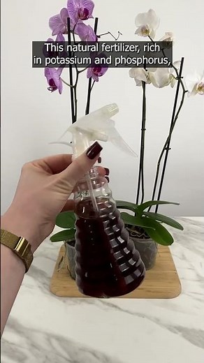 How to make natural onion peel fertilizer