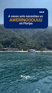 Playa, sol y descanso: así puede empezar tu próximo verano. Viajando con Turil a Florianópolis, salidas desde Salto con paradas en Paysandú, Tacuarembó y Rivera, en un recorrido cómodo y pensado para que disfrutes el camino. Lo mejor será lo que te espera al llegar: bajar del ómnibus y encontrar el mar. Planificá tus vacaciones con tiempo y asegurá tu lugar. Ingresá al link de la bio y reservá tu pasaje. | Turil