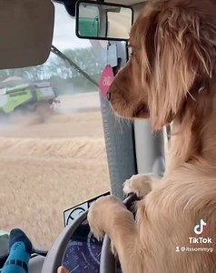 39K views · 1K reactions | The cutest farmer in the UK?   Sommer Souster | Farmers Weekly | Facebook