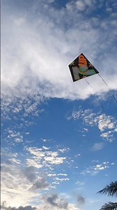 Rare kite hunting action