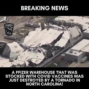 50,000 pallets of the toxic jabs were destroyed today! 🙌🏽🙏 | Dave Brown USA