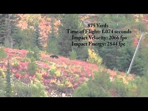 Long Range Hunting: 875 Yard Idaho Black Bear with 338Edge +P/ 300 SMK