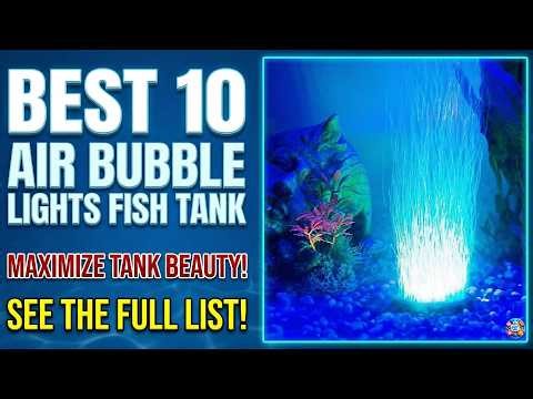 Which is the BEST Air Bubble Lights Fish Tank? (Top 10 Picks & Reviews)