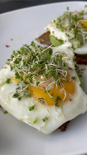 Sprouting Broccoli Seeds: A Step-by-Step Guide