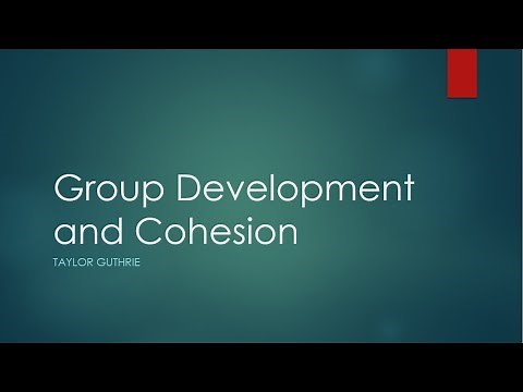 Group Dynamics: How do groups develop and become cohesive?