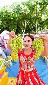 4.8M views · 49K reactions | Turpan has a long history of growing grapes. Located in Xinjiang, the area is known as the "grape capital" of China. The world-famous Tashgar Emerald, one of the sweetest grape varieties found there, is currently a popular market item. #NationalDay #FunChina | China Plus Culture | Facebook