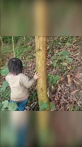 Heartbreaking Moment: No One Saved Him! 🌊