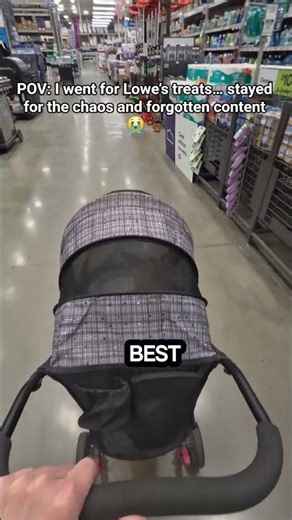 My dog's Lowe's reaction has me crying 💀🐾 #DogPOV #PetComedy #Relatable