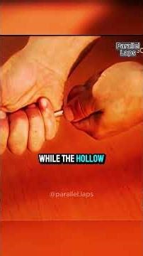 How to made syringe needles #didyouknow #facts #needlework #syringe #mindblowingfacts