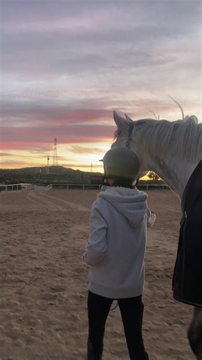 Nights like this 🤍 #equestrian #showjumping #horses #fyp #equestrianlife