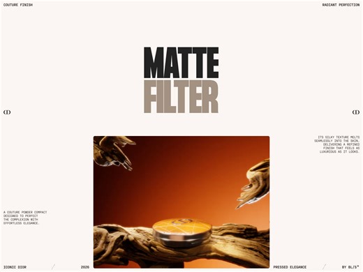 Dior // E-commerce website