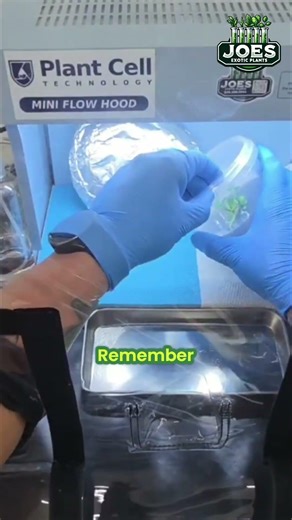 Safe Lab Practices: Confirming Tools and Opening Jars #shorts