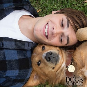 “No matter what, we’re right there with you.” #ADogsPurpose - in theaters January 27. Get tickets: http://unvrs.al/ADPTix | A Dog's Journey