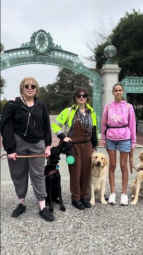 How do we match a person who is blind or visually impaired with a guide dog?