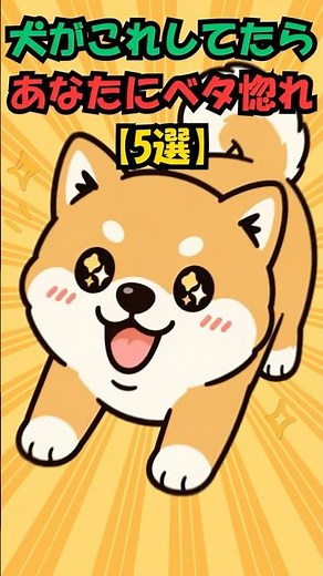 犬がこれしてたら“完全に信頼されてます”【5選】 #shorts #dog