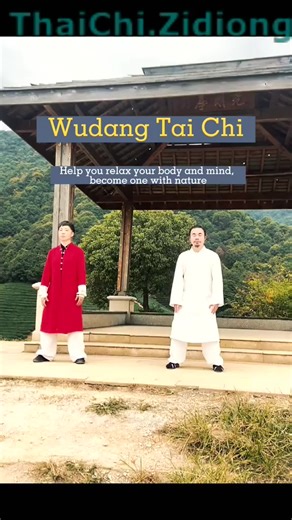 370_Tai Chi helps you relax your body and mind and become one with nature. #taichi #wudang #wudangkungfu #wudangtaiji | Thai Chi Practise -Zidoing