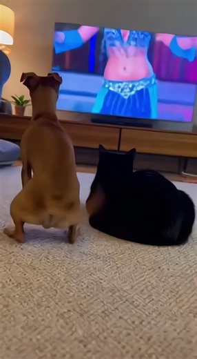 #dog #dance #arab #music #dancechallenge