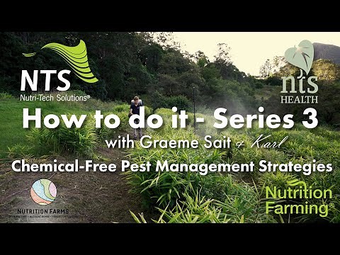 Chemical-Free Pest Management – How To Stop Pests Without Chemicals! - How to S3E3
