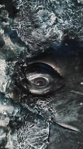 "La nature est éternellement jeune, belle et généreuse. Elle possède le secret du bonheur, et nul n'a su le lui ravir." - George Sand, la Mare au diable (1846) Ne perdons jamais de vue ce pourquoi nous luttons chaque jour... Une baleine grise filmée par Mike Nulty | Mr Mondialisation