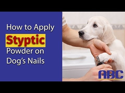 How to Apply Styptic Powder