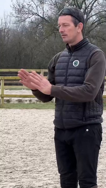 Chevaux et Chutes : Aventures avec Safir