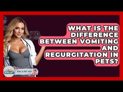 What Is The Difference Between Vomiting And Regurgitation In Pets? - Ask A Pet Vet