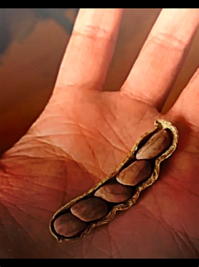 Unbelievable Coincidences That Will Blow Your Mind