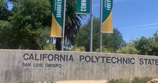 Students preparing to enter the workforce face realities of job search