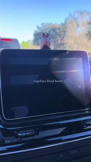 Capybara Blind Boxes: Must-Have for Fans