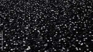 Alien boiling mysterious surface. Animation of moving unknown substance.