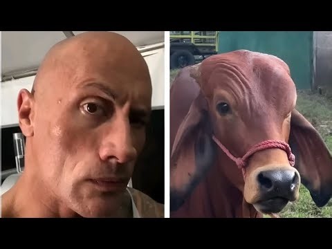 Best Funny Bytes OF The Year |Funnybytes|