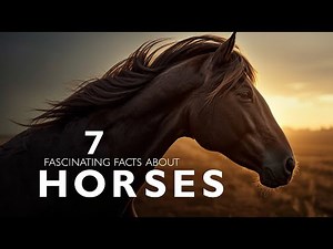 7 Amazing Facts About Horses