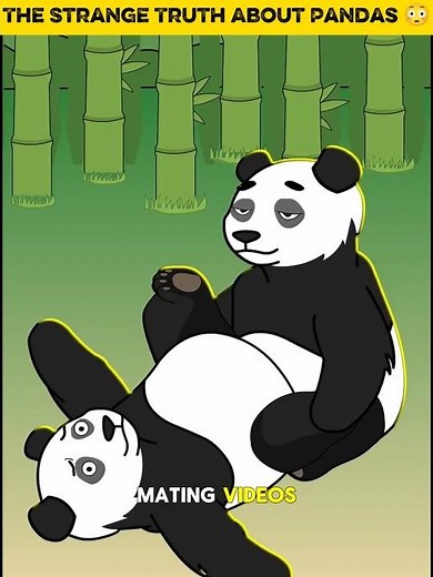 Why Pandas Struggle to Survive ||