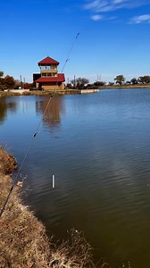 Trout season has arrived to Route 66 Lake and throughout Oklahoma! | Oklahoma Department of Wildlife Conservation (ODWC)
