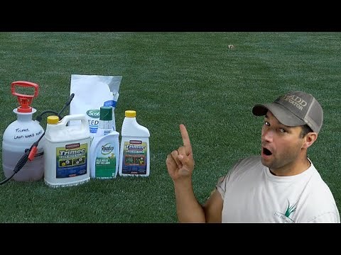 Weed Free Lawn