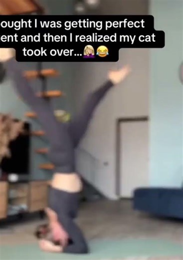 Приколы года 🤣