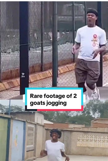 Rare Footage of Goats Jogging in a Fun Adventure