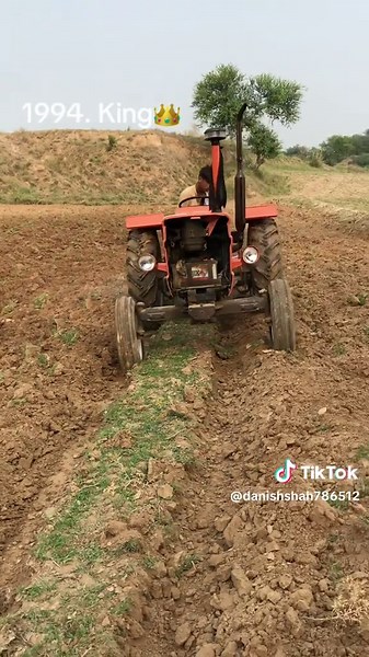 1994: A Year of Iconic Moments