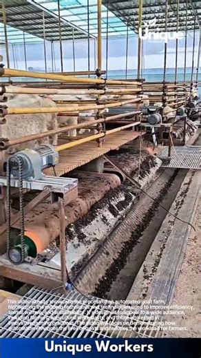 Goat farm automation: reducing labor and increasing productivity