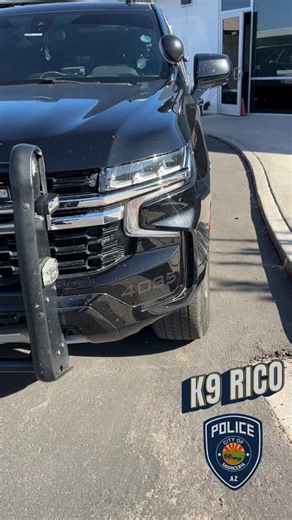 Meet K9 Rico in action! Rico is certified in narcotics detection and is already making an impact on patrol. His keen nose and strong training help keep our community safe each and every day. Watch as Rico alerts to his finds — proving once again why our K9s are such an incredible asset to the Maricopa Police Department. Read more about Rico, his handler Officer René Ordoñez, and how the Maricopa Police Foundation helped make his addition possible: https://ow.ly/eRtk50XqQW3 | City of Maricopa Pol